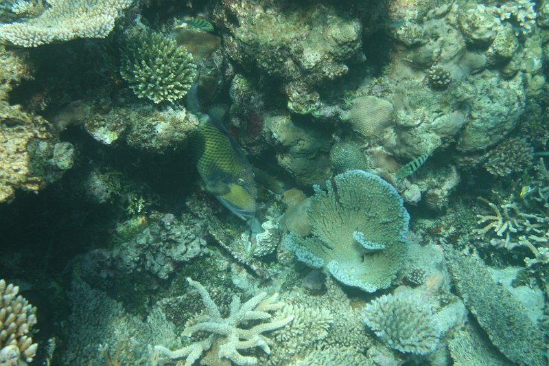 IMG_0323.JPG